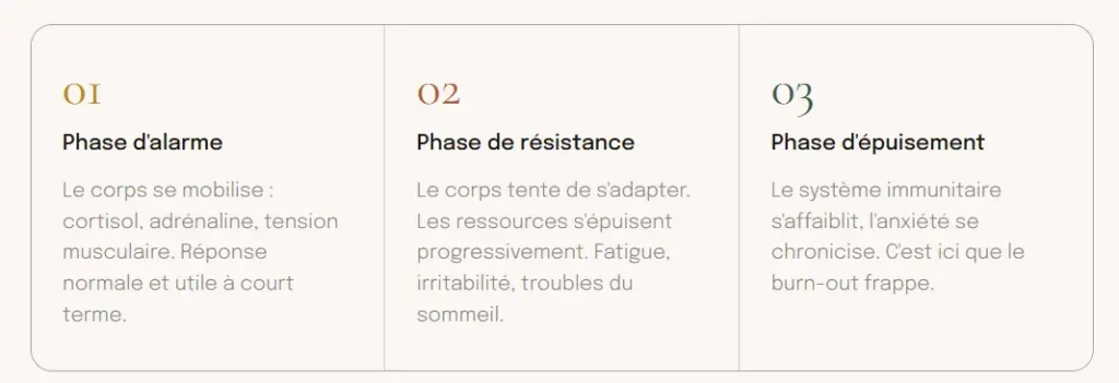 Et quand le système d'alarme ne s'éteint pas, le stress chronique s'installe avec ses cortèges de dégâts sur le corps et l'esprit.